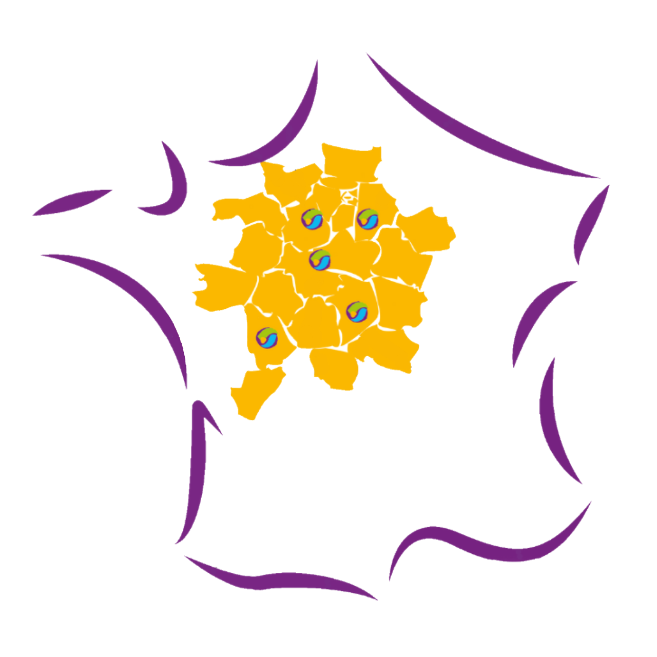Carte Nos entreprises